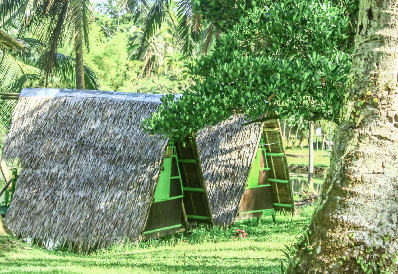 Caliraya Ecoville Recreation And Farm Resort Cavinti Ngoại thất bức ảnh