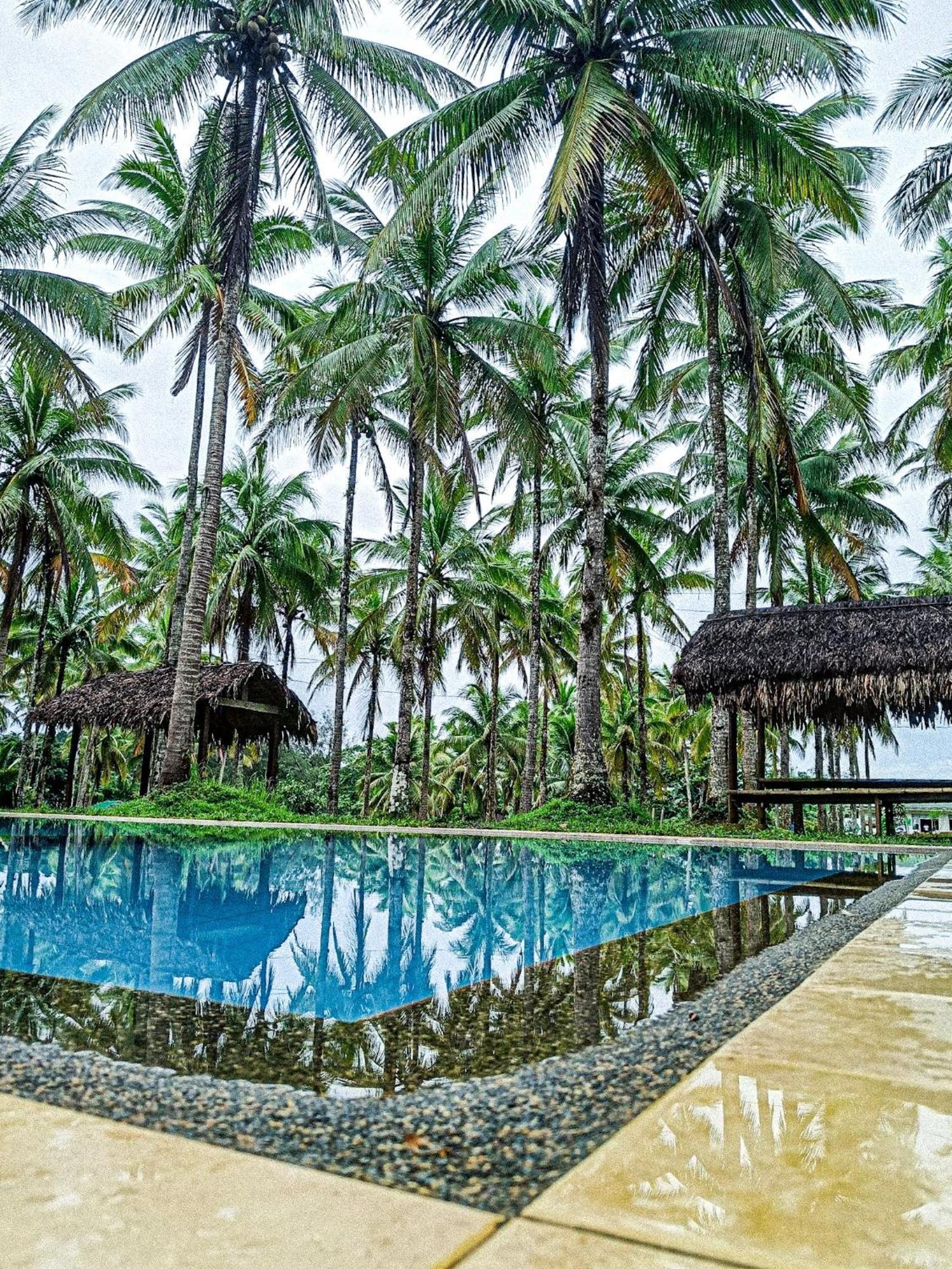 Caliraya Ecoville Recreation And Farm Resort Cavinti Ngoại thất bức ảnh