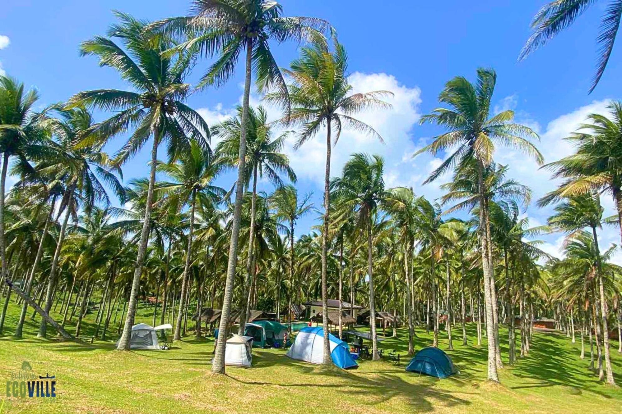 Caliraya Ecoville Recreation And Farm Resort Cavinti Ngoại thất bức ảnh